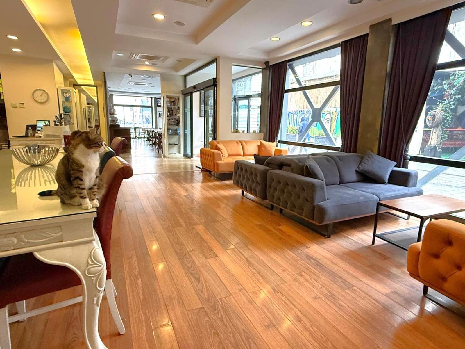 Hotellino Istanbul — Photos 1